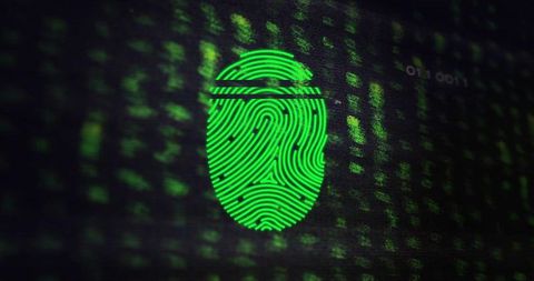 Green biometric fingerprint scan on digital security interface