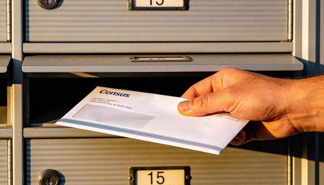 Hand placing census envelope into mailbox slot 15, sunlit closeup of postal delivery