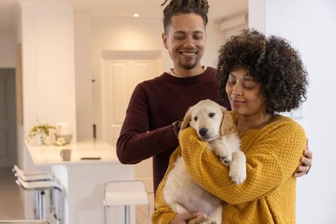 Couple holding golden retriever puppy in modern kitchen, cozy lifestyle warm home moment