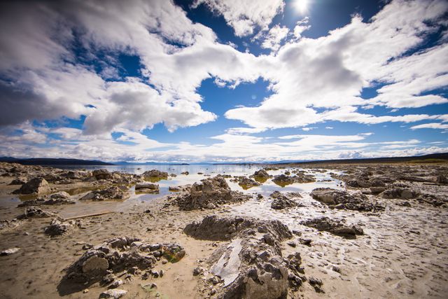 Scenic View of Rocky Shoreline with Reflective Puddles and Cloudscape - Download Free Stock Photos Pikwizard.com