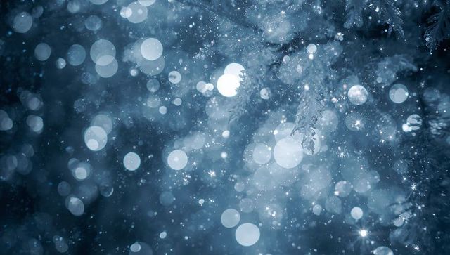 Falling Snow and Frosted Pine with Blue Bokeh Lights, Sparkling Winter Night