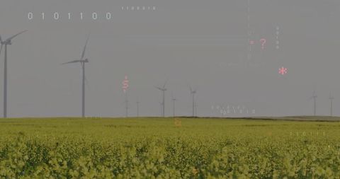 Sustainable energy in canola fields with turbines and digital interface