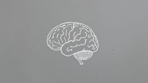 Minimalist brain outline on gray background