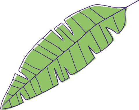 Stylized Green Banana Leaf Illustration on Transparent Background - Download Free Stock Videos Pikwizard.com