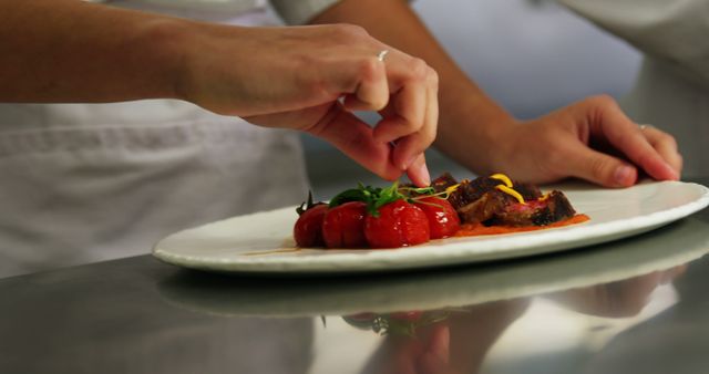 Close-up of chef garnishing an elegantly plated dish with precision in a professional kitchen. Ideal for illustrating culinary arts, professional cooking, restaurant quality dishes, and food styling. Suitable for use in articles, cookbooks, culinary school advertisements, or restaurant promotions.