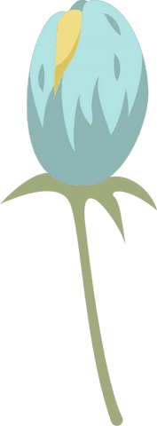 Flat aqua flower bud on transparent canvas vibrant minimalist design