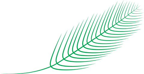 green fern leaf illustration on transparent background - Download Free Stock Videos Pikwizard.com