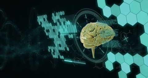 Digital Brain with Virtual Data Interface on Dark Background - Download Free Stock Images Pikwizard.com