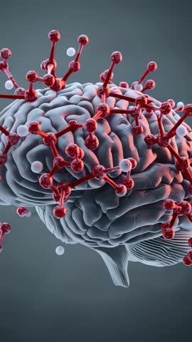 Rotating brain cortex revealing molecular network with red nodes and viral particles