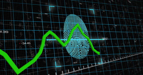 Digital Fingerprint Authentication with Financial Statistics