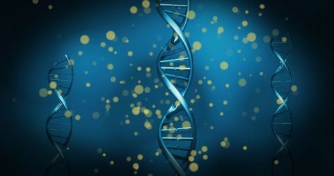Blue dna double helix with golden bokeh lights for medical research and biotechnology