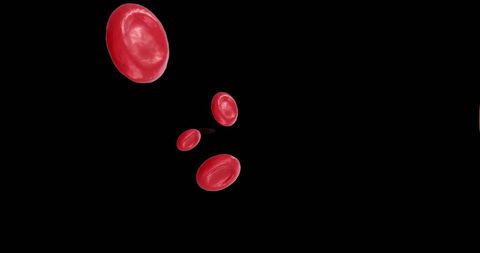 Floating Red Blood Cells on Black Background
