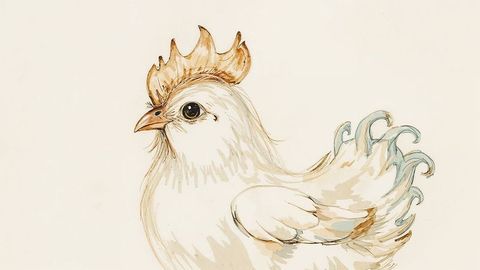 Stylized cartoon chicken illustrates minimalist art