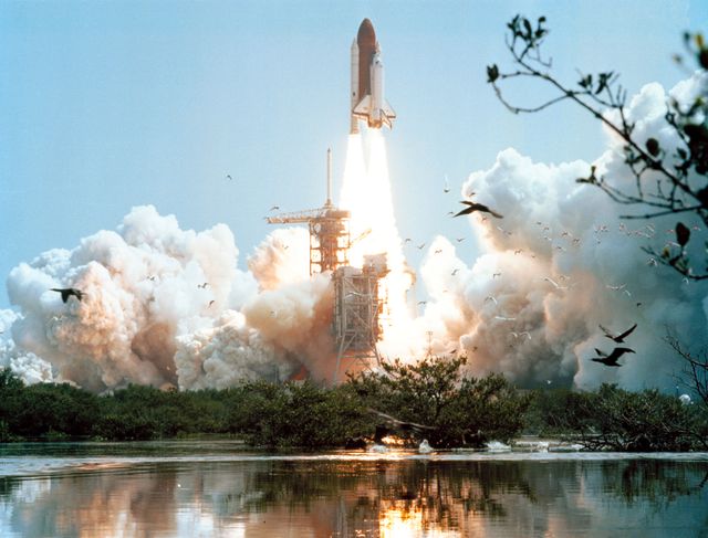 Space Shuttle Columbia Launch with Birds in Flight - June 1982 - Download Free Stock Photos Pikwizard.com