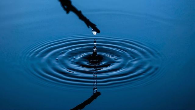 Water droplet creating concentric ripples on deep blue surface with twig reflection serene