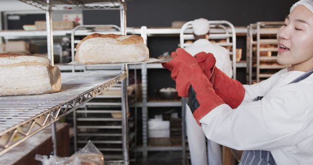 Female Baker Removing Fresh Bread from Oven in Bakery - Download Free Stock Images Pikwizard.com