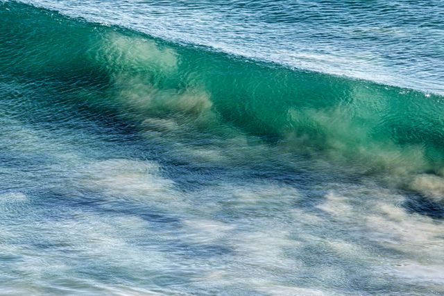 This detailed view of a single, translucent wave captures the beauty of the ocean with sunlight reflecting off its surface. Ideal for backgrounds, nature-themed designs, coastal living promotions, and environmental conservation materials.