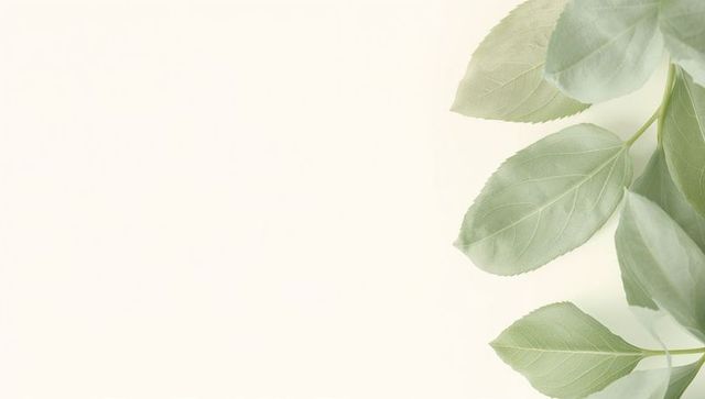 Pale green leaf border on cream background minimal botanical flatlay with copy space
