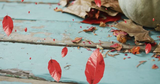 Warm Autumn Vibes with Falling Leaves over Pumpkin Display - Download Free Stock Images Pikwizard.com