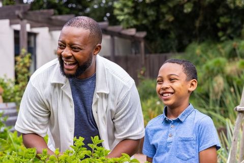 African american father and son laughing while gardening herbs in backyard raised beds