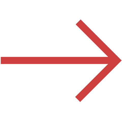 Red Arrow on Transparent Background for Directional Design - Download Free Stock Videos Pikwizard.com