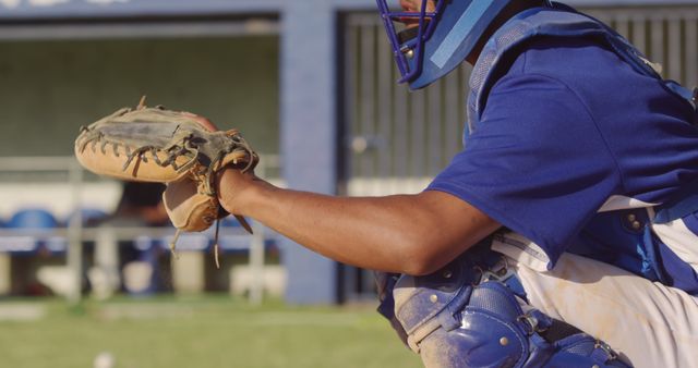 Baseball Catcher Waiting for Pitch with Glove Outstretched - Download Free Stock Images Pikwizard.com