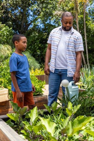 African american father teaching son gardening in sunny backyard raised beds with watering can