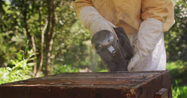 Beekeeper Using Smoker in Garden - Download Free Stock Images Pikwizard.com