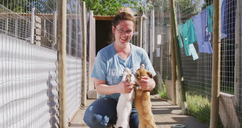 Shelter Volunteer Engaging with Playful Puppies