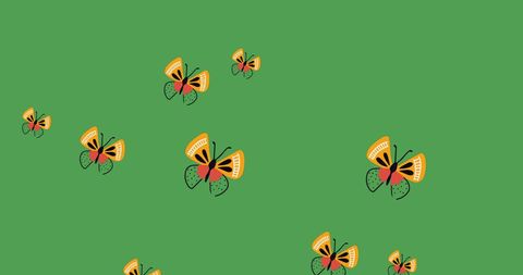 Whimsical Butterfly Pattern on Vibrant Green Background - Download Free Stock Images Pikwizard.com