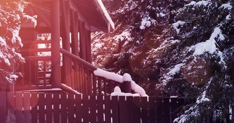 Cozy Cabin with Snow-Covered Trees During Winter Sunrise - Download Free Stock Images Pikwizard.com