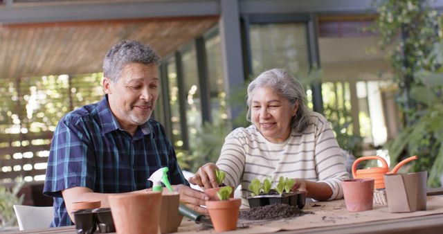 Happy diverse senior couple sitting at table and planting plants to pots on porch - Download Free Stock Photos Pikwizard.com