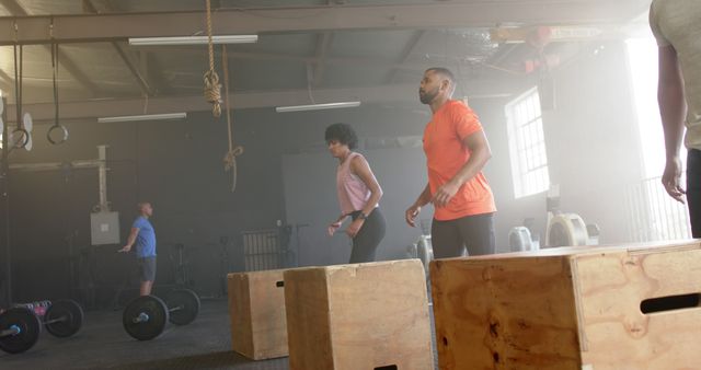 Group of Focused Men and Women Exercising in Gym with Box Jumps - Download Free Stock Images Pikwizard.com