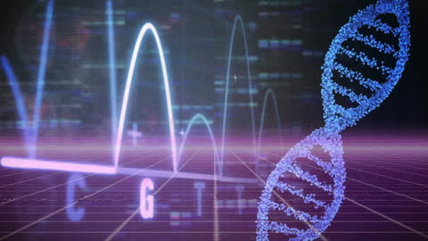 Digital Interface with DNA and Financial Data