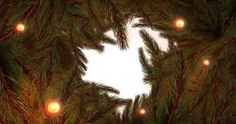 Christmas Greetings with Fir Branches and Fairy Lights - Download Free Stock Images Pikwizard.com