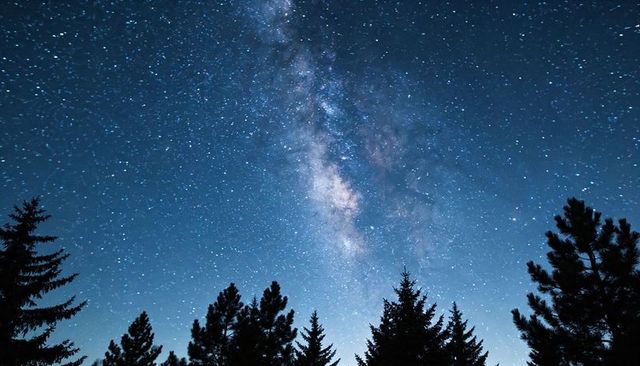 Rising milky way core glowing above pine treeline under starry night sky