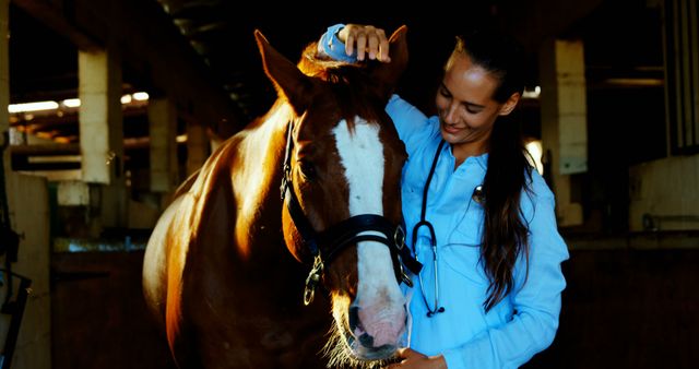 A young Caucasian female veterinarian is caring for a horse in a stable, with copy space. Her professional interaction with the animal highlights the compassionate nature of veterinary care.
