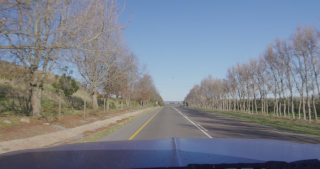 Beautiful scene of a straight rural road during the winter season with leafless trees lining both sides under a clear blue sky. Ideal for representing travel, journey in nature, road trips, or serene countryside life. Can be used for advertisements related to tourism, transportation, or outdoor adventure.