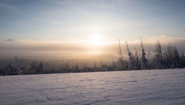 Sunrise fog rolling over frosted alpine field with wind-sculpted snow