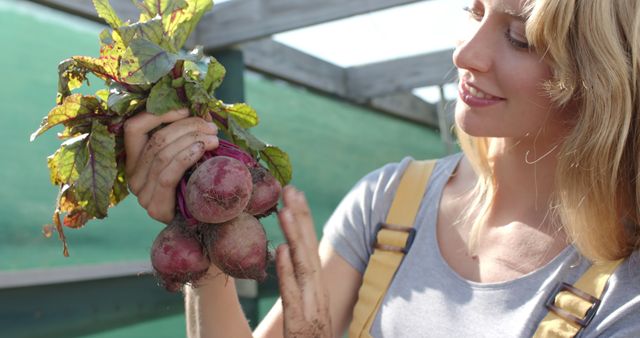Woman Harvesting Fresh Beets in Greenhouse - Download Free Stock Images Pikwizard.com
