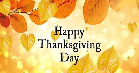 Happy Thanksgiving Day Message with Vibrant Autumn Leaves