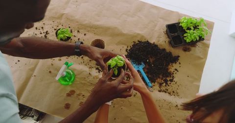 Friends transplanting herbs in biodegradable pots together