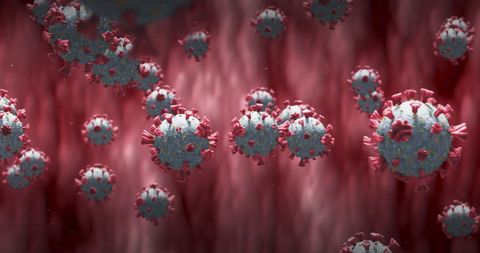 Macro View of Coronavirus Covid-19 Cells in Bloodstream - Download Free Stock Images Pikwizard.com