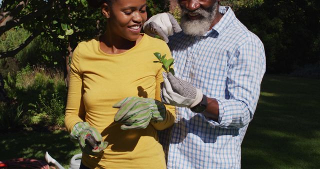 Smiling african american couple gardening in sunny garden looking at a tree cutting. staying at home in isolation during quarantine lockdown.