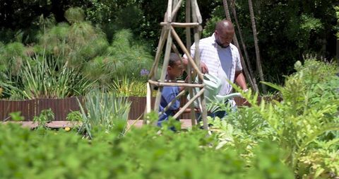 African american father teaching teenage son gardening and watering plants by trellis