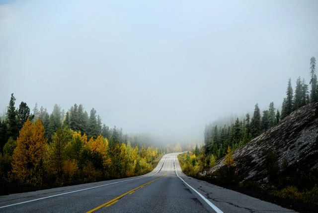 A winding road stretching through a dense forest coated in autumn colors and enveloped in mist. Ideal for use in travel blogs, nature documentaries, and websites focused on seasonal photography. Can also be used for backgrounds in presentations and advertisements promoting road trips, tranquility, or autumn scenery.