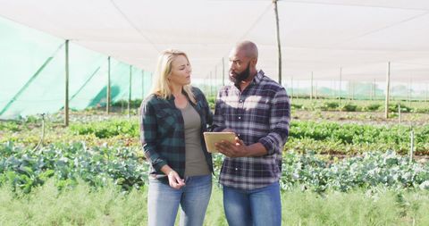 Diverse Farmers Using Tablet in Greenhouse for Agriculture Technology