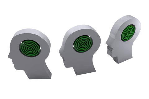 Gray heads with maze symbolizing intellect on transparent background