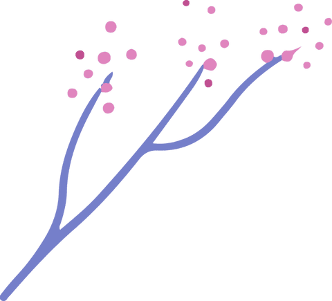 stylized cherry blossom branch with transparent background - Download Free Stock Videos Pikwizard.com