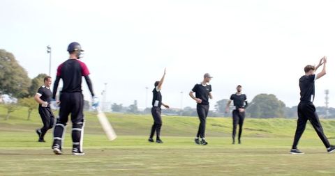 Cricket Team Joyfully Celebrating a Wicket on Outdoor Field